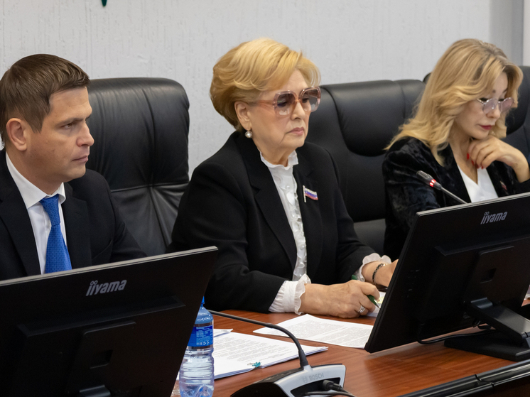 Депутаты приняли бюджет и программы развития Краснодара