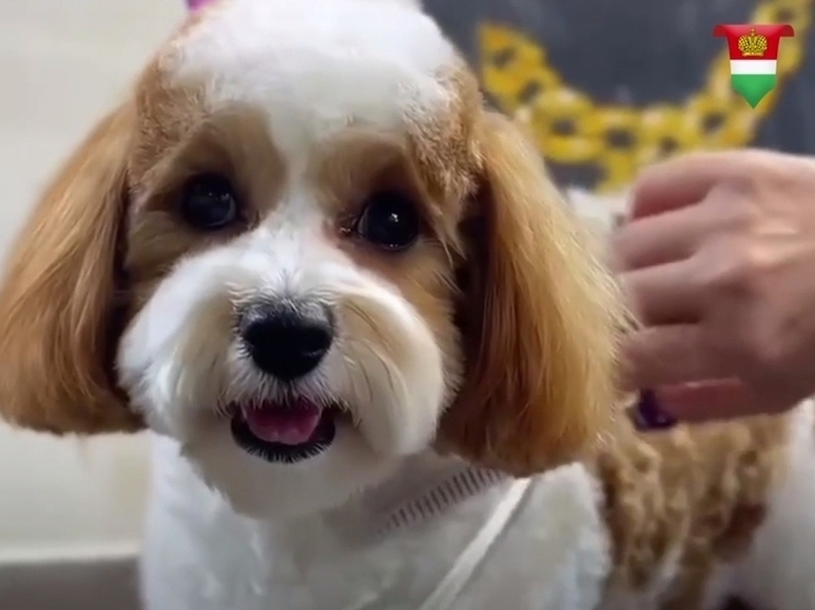 Соцконтракт помог появиться «Марсу» в Боровске