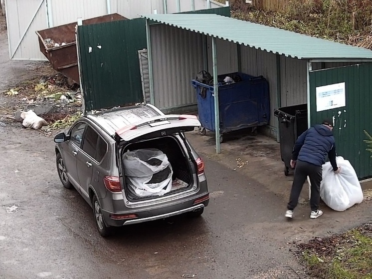 Серпухов занял второе место в антирейтинге по незаконному сбросу мусора из автомобилей