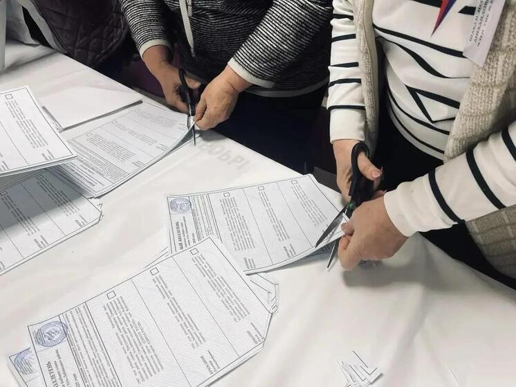 Тридцать пять тысяч наблюдателей: как завоевать доверие общества