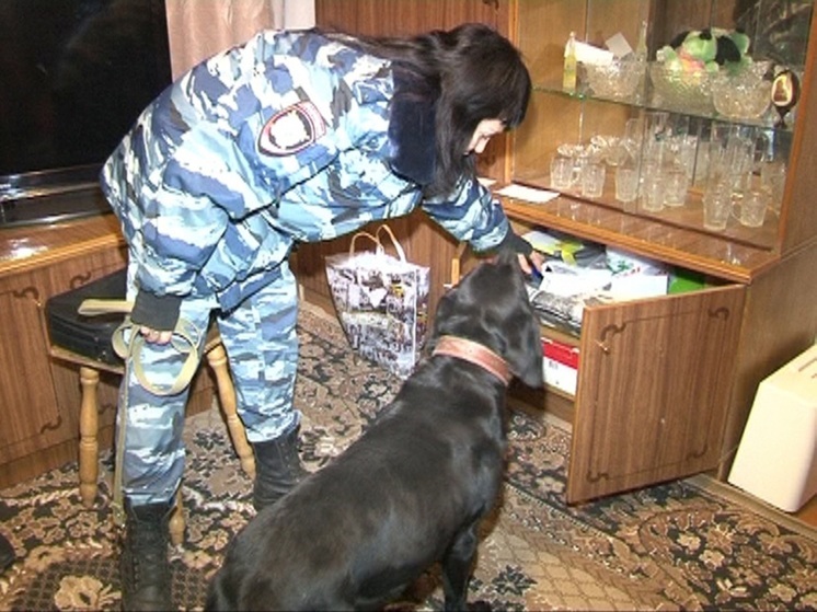 Тулячку приговорили к 10 годам колонии за попытку сбыть наркотики