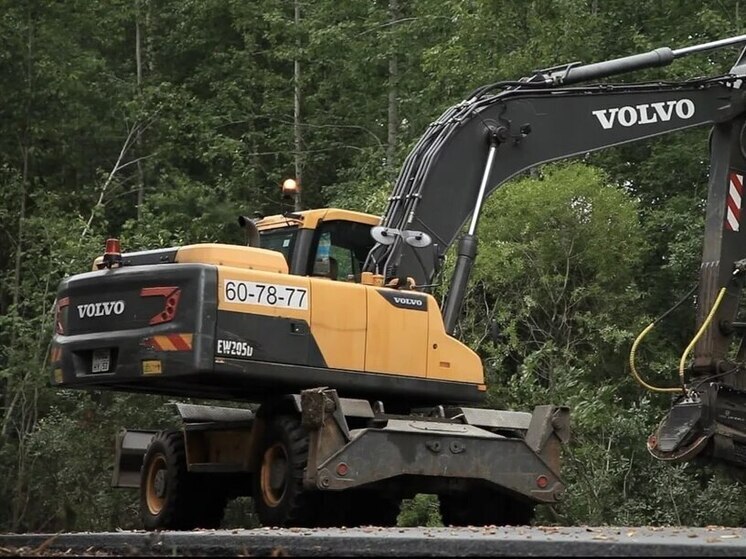 В Новгородчине в нормативное состояние приведут 240 километров полосы отвода