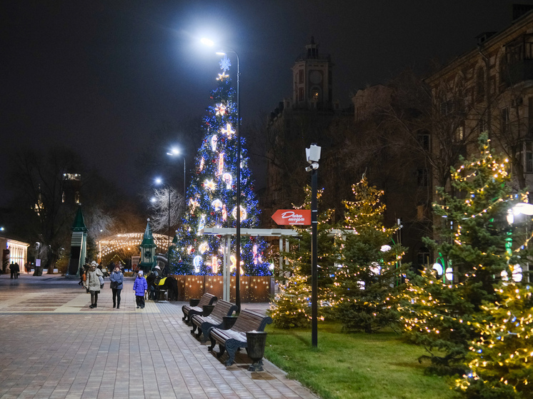 В Волгограде усилят меры безопасности в период новогодних праздников