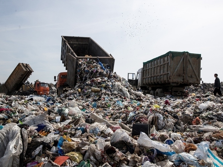 Ярославцам рассказали, как на их кошельке отразится создание мусорного полигона в Скоково