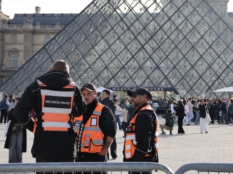 В Лувре поставили решетки на окна через два месяца после ограбления