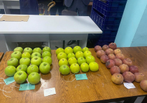 К середине XXI века численность населения планеты возрастет на два миллиарда, и вопрос обеспечения продовольствием встанет еще острее