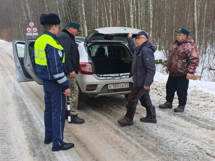 В Чувашии не зафиксировано незаконных рубок елей