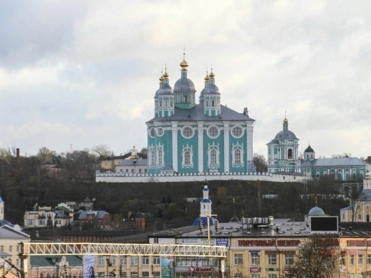 Глава Смоленска Александр Новиков совершит объезд Заднепровского района по обращениям жителей