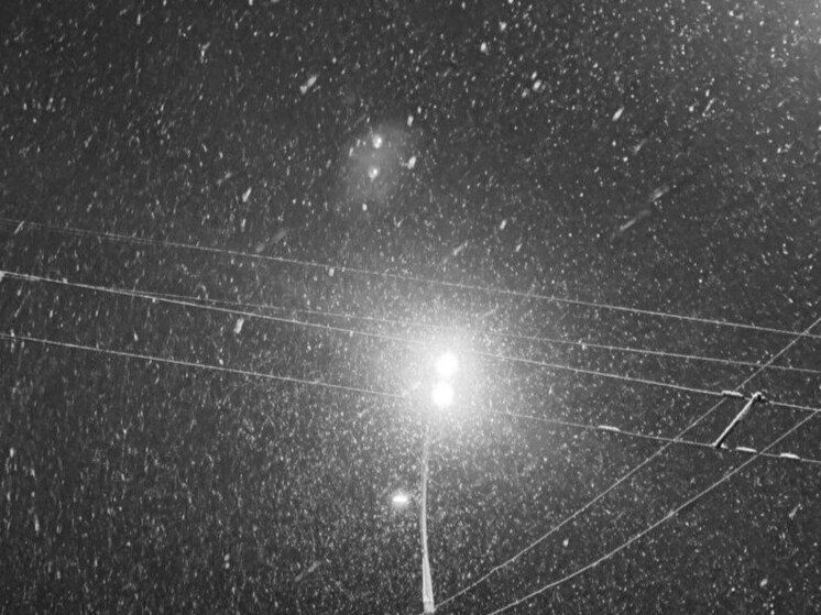 Метель накроет Воронеж в конце рабочей недели