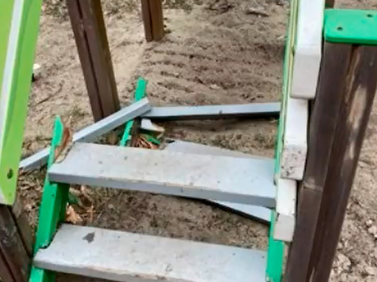 Липецкие активисты требуют улучшить площадки для юных жителей