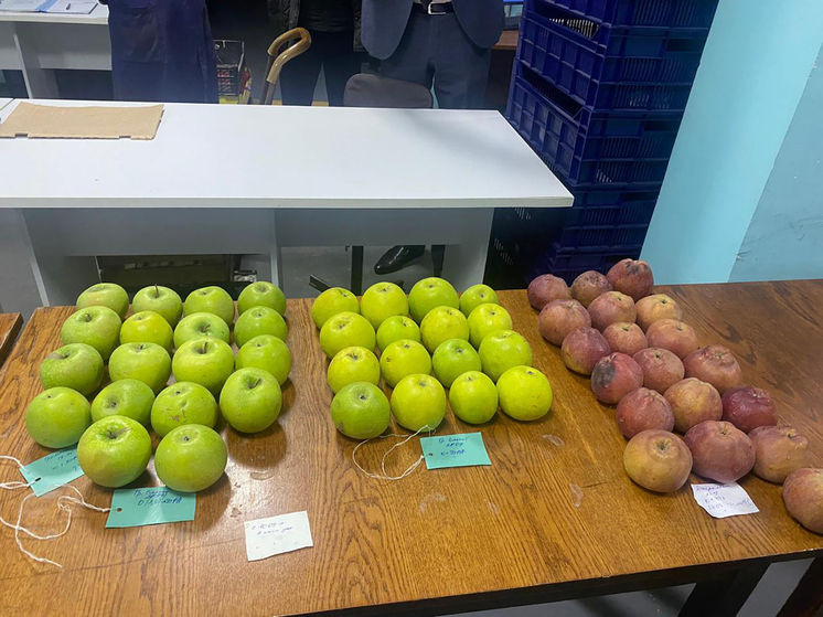 На конгрессе диетологов и нутрициологов обсуждали поиск новых источников биоресурсов