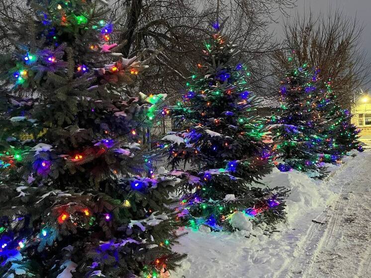 Новогодняя елка в сквере на Ленинградской зажглась в Оренбурге