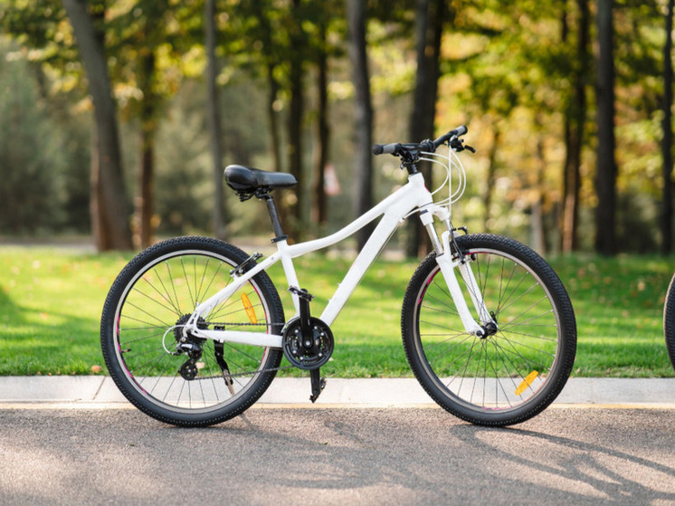 Зампред правительства Ставрополья исполнит новогодние мечты детей из ЛНР