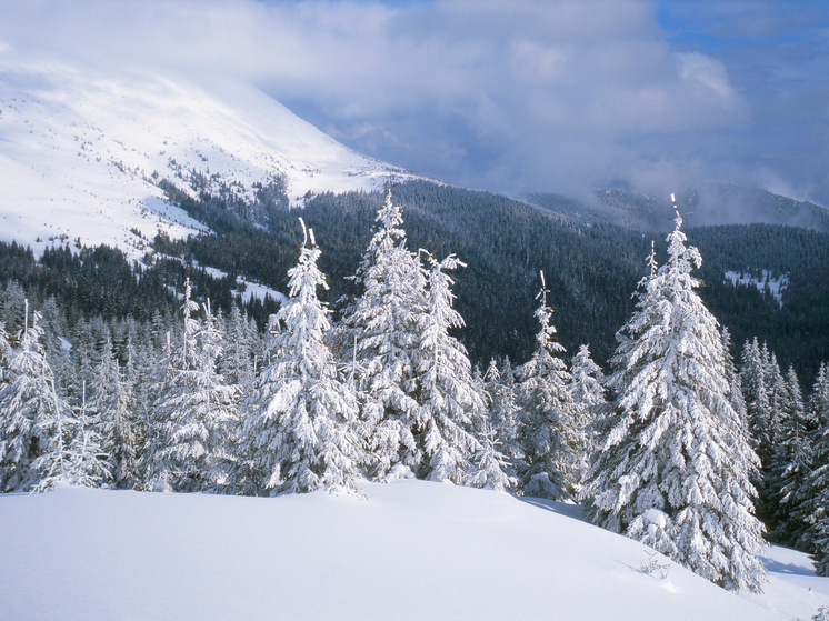 CNN: с 2022 года в горах Румынии спасли почти 400 украинских уклонистов от призыва в армию