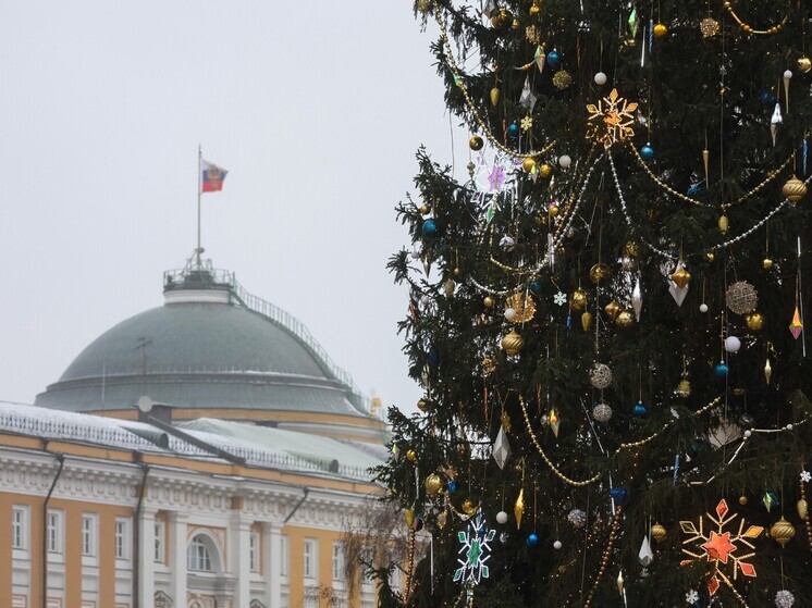 Мороз до -19℃ уже сегодня ночью ударит по Подмосковью