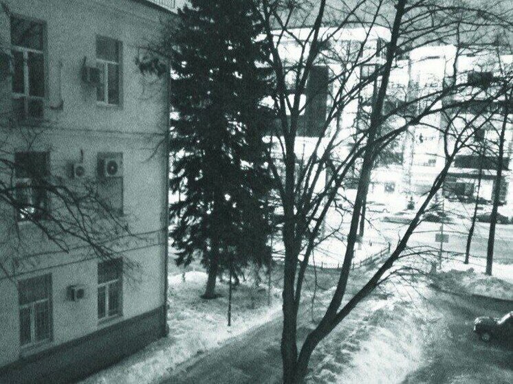 Мороз, гололед и сильный ветер настигнут воронежцев 24 декабря