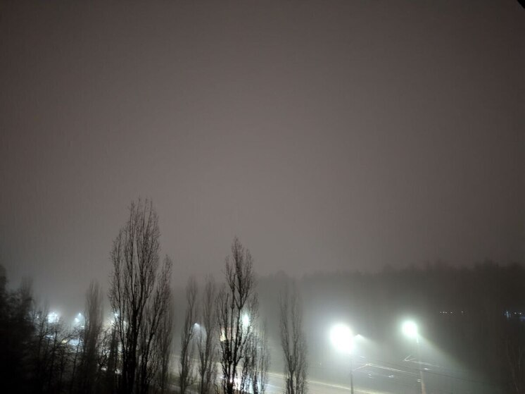 В Воронеже наступила самая холодная ночь этой зимы