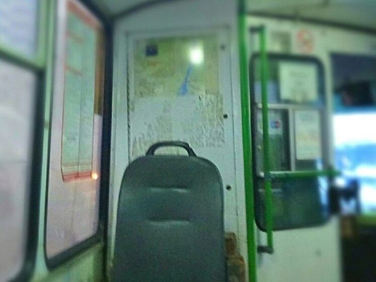 По улицам Воронежа поехал новогодний троллейбус