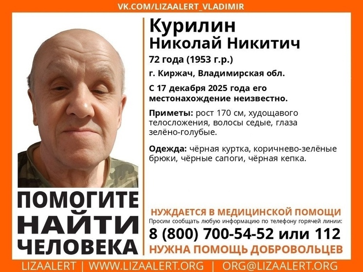 Нуждающийся в медпомощи пенсионер бесследно исчез во Владимирской области