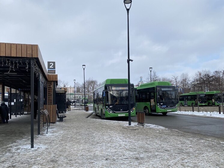 Расписание междугородних автобусов Сахалина изменится в новогодние каникулы