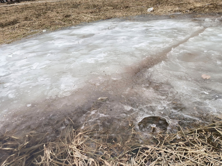 Астрономическая весна в России наступит 20 марта 2026 года