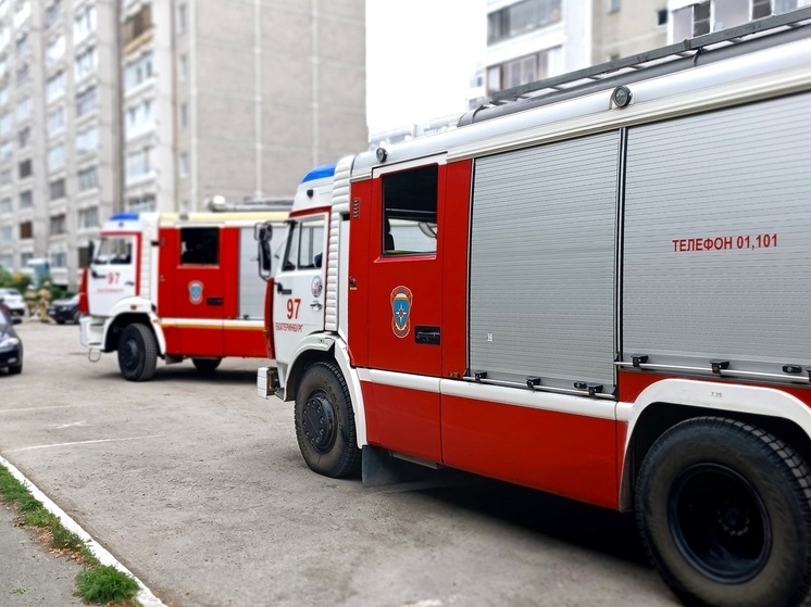 За сутки в Курганской области потушили пять пожаров