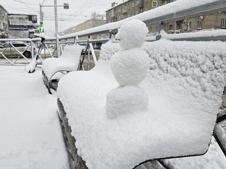 Новосибирскую область накроет снегопад с сильным ветром