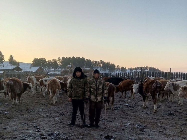 Участник СВО из Бурятии развивает фермерское хозяйство на грант «Агростартап»