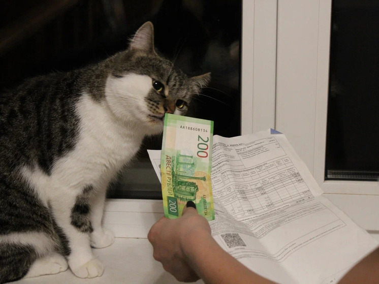 С 1 марта 2026 года куряне смогут оплачивать коммунальные услуги до 15 числа