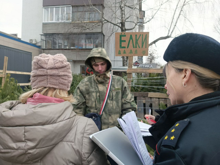В Курске выявили незаконную торговлю ёлками