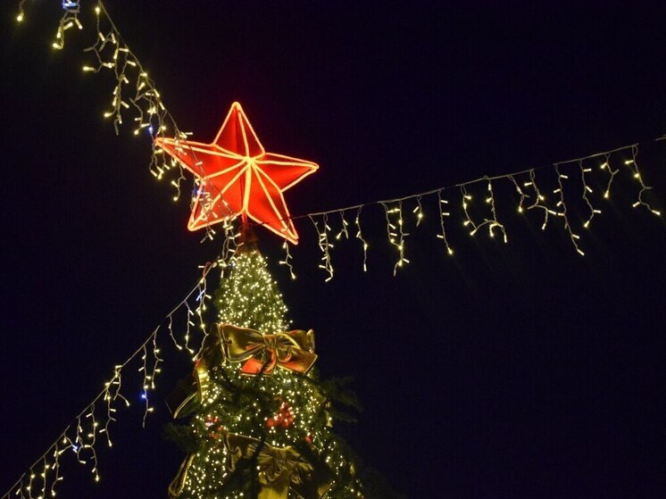 Стало известно, когда в Барнауле откроют главную новогоднюю елку