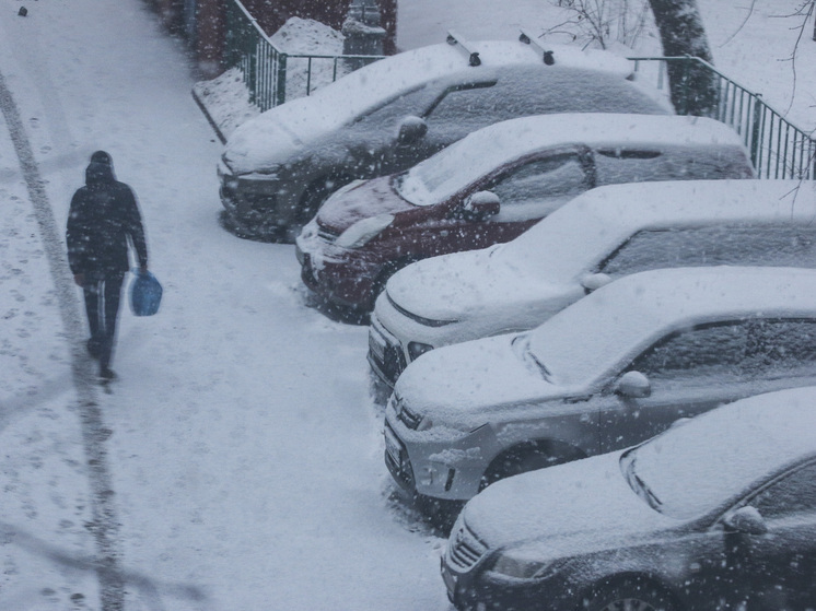 Тишковец: температура воздуха в Подмосковье ночью опустилась до -20 градусов