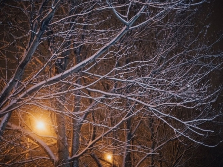Ночные морозы ожидаются в Волгоградской области в середине рабочей недели