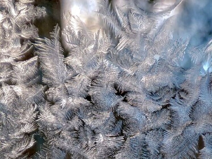 Среда в Воронежской области будет самым холодным днем этого декабря