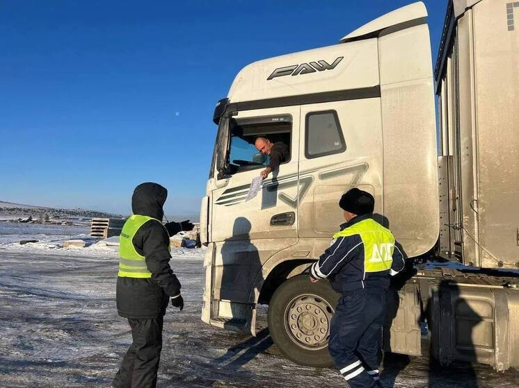 Ветеринарные посты на границе Бурятии с Забайкальем будут работать круглосуточно на новогодние праздники