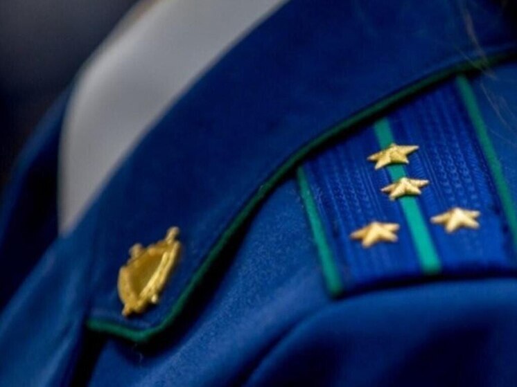 Прокуратура взыскала с жителя Иркутского района ущерб за контрабанду леса