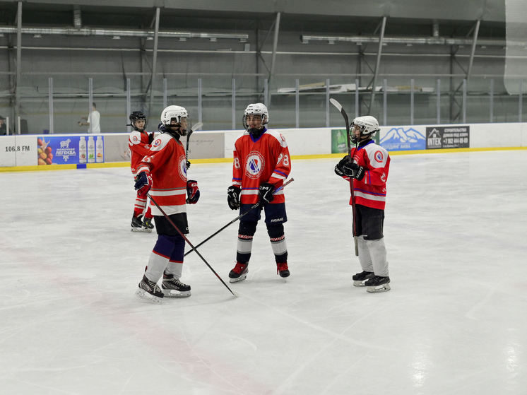 В Ставрополе отгремели ледовые баталии второго этапа межрегиональных соревнований Южного и Северо-Кавказского федеральных округов среди хоккеистов до 12 лет (ребята 2014 года рождения и младше)