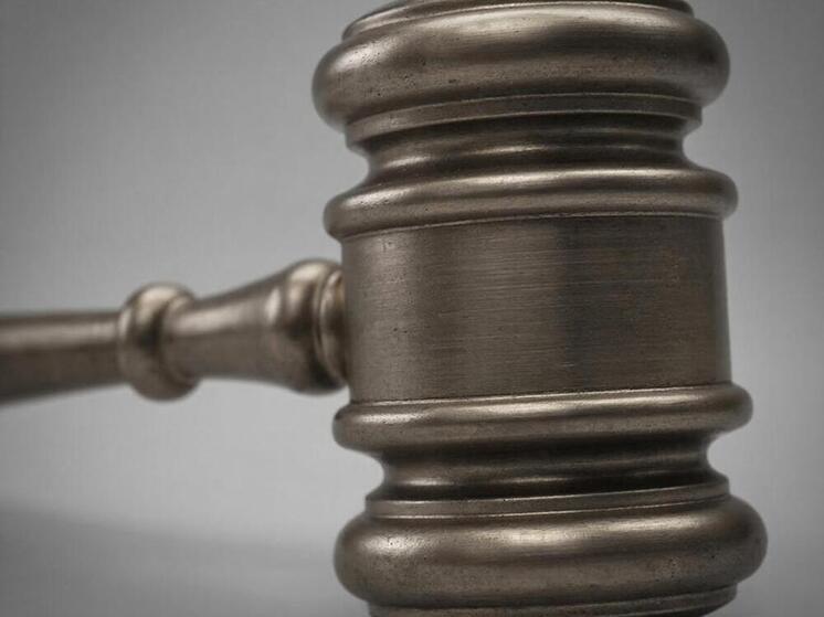 Курянка получила условный срок за перелом пальца соседу, нанесённый ударом сумки