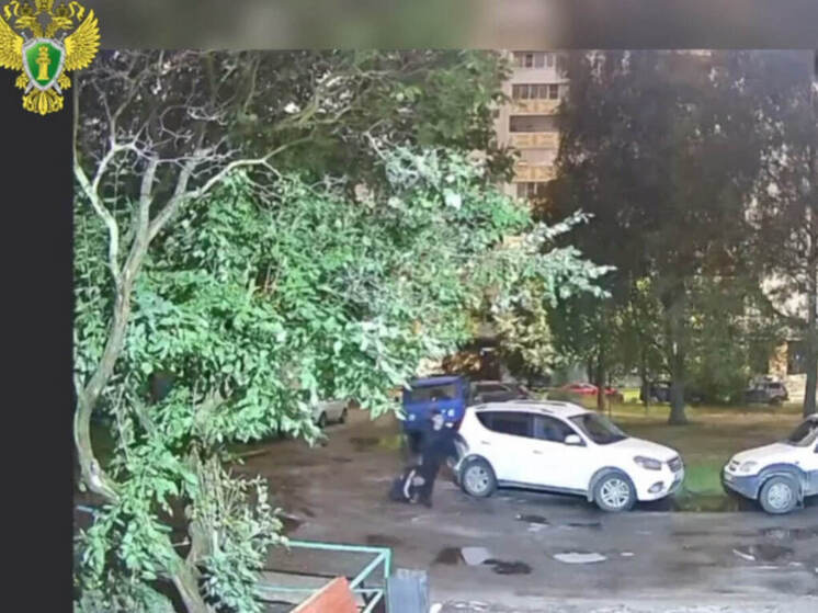 26-летний йошкаролинец осужден за смертельное избиение человека