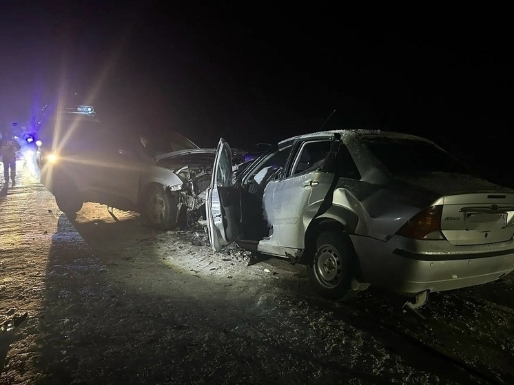 Водитель погиб на федеральной трассе в Грязовецком округе