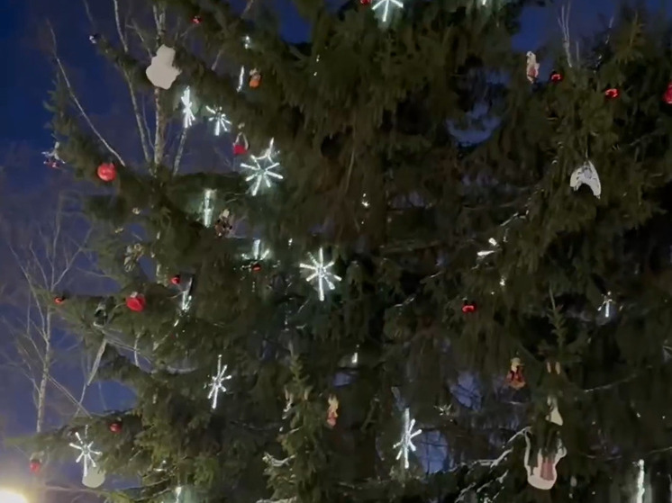 Во Владимире нарядили межнациональную елку