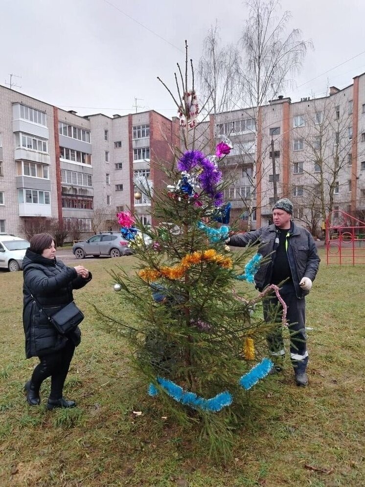 Великие Луки выбирают главную новогоднюю красавицу: жители определят победителя конкурса