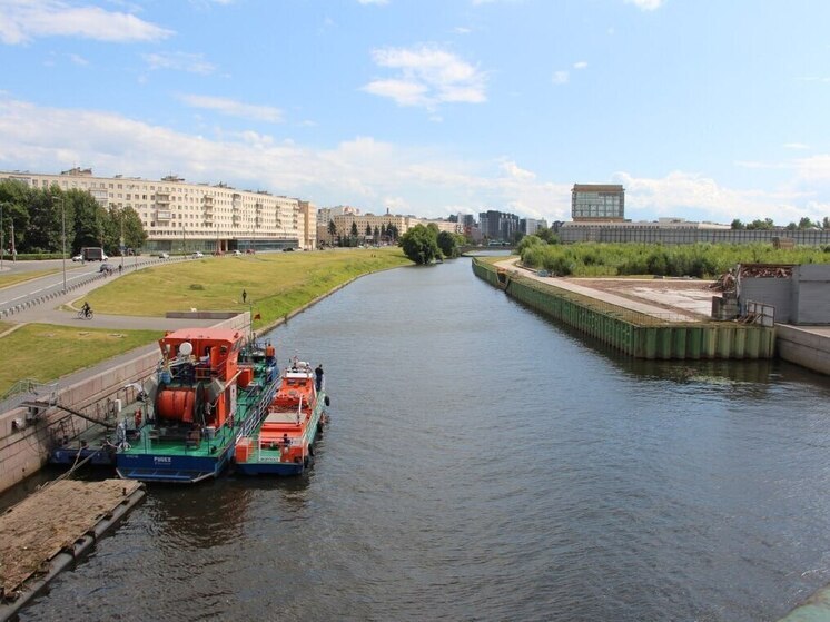 В Петербурге в реке Охта выявили серьезное загрязнение органическими веществами