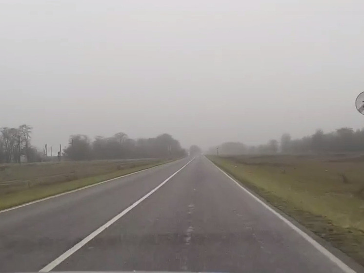 Туман и дождь: на двух трассах Курского района ухудшилась видимость