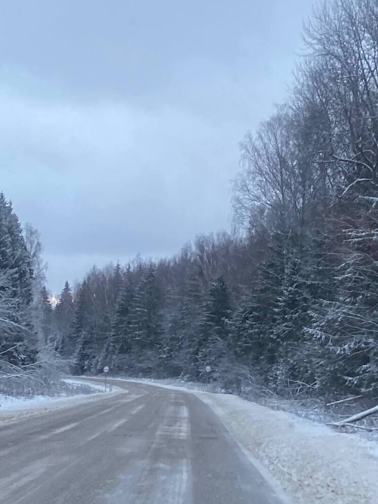 Синоптик Сафонов: В Москве и Московской области идет череда погодных изменений