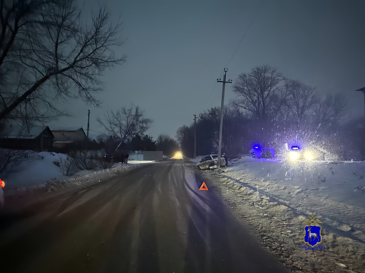 В Самарской области после ДТП с «калиной» госпитализировали двух девушек