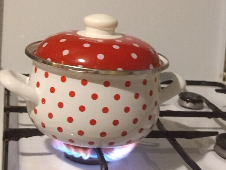 Жителям старорусской деревни Кочериново провели газ