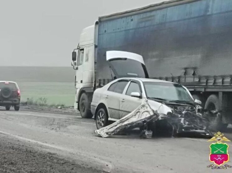 На трассе «Новороссия» в Бердянском районе произошло смертельное ДТП