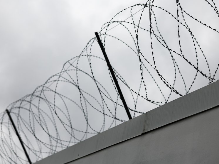 Жительницу Калифорнии подозревают в тщательно спланированном убийстве: ее 9-летнюю дочь нашли с огнестрельным ранением