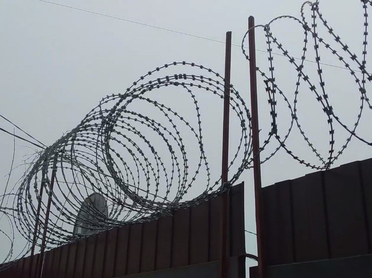 Во Владимирской ИК-1 ужесточили досмотр после перевода блогерши Елены Блиновской